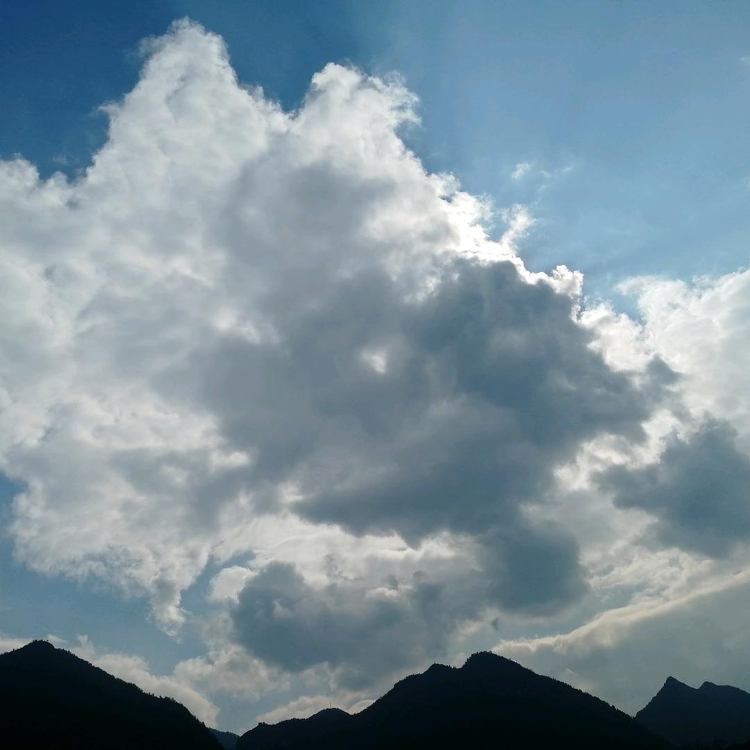 山橙