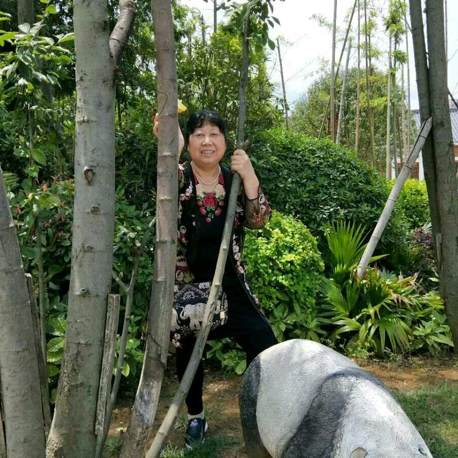 聂大姐