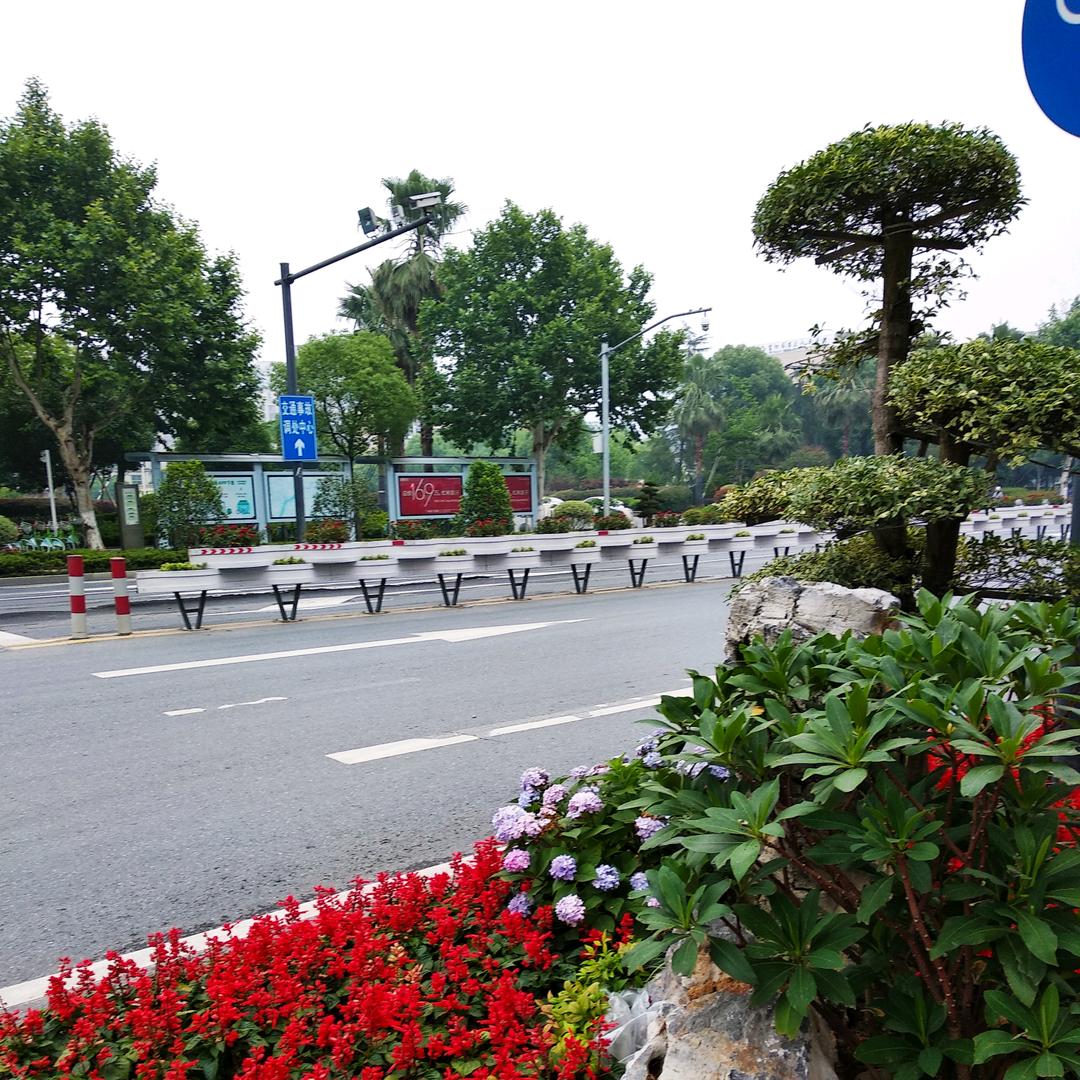 真情到永远