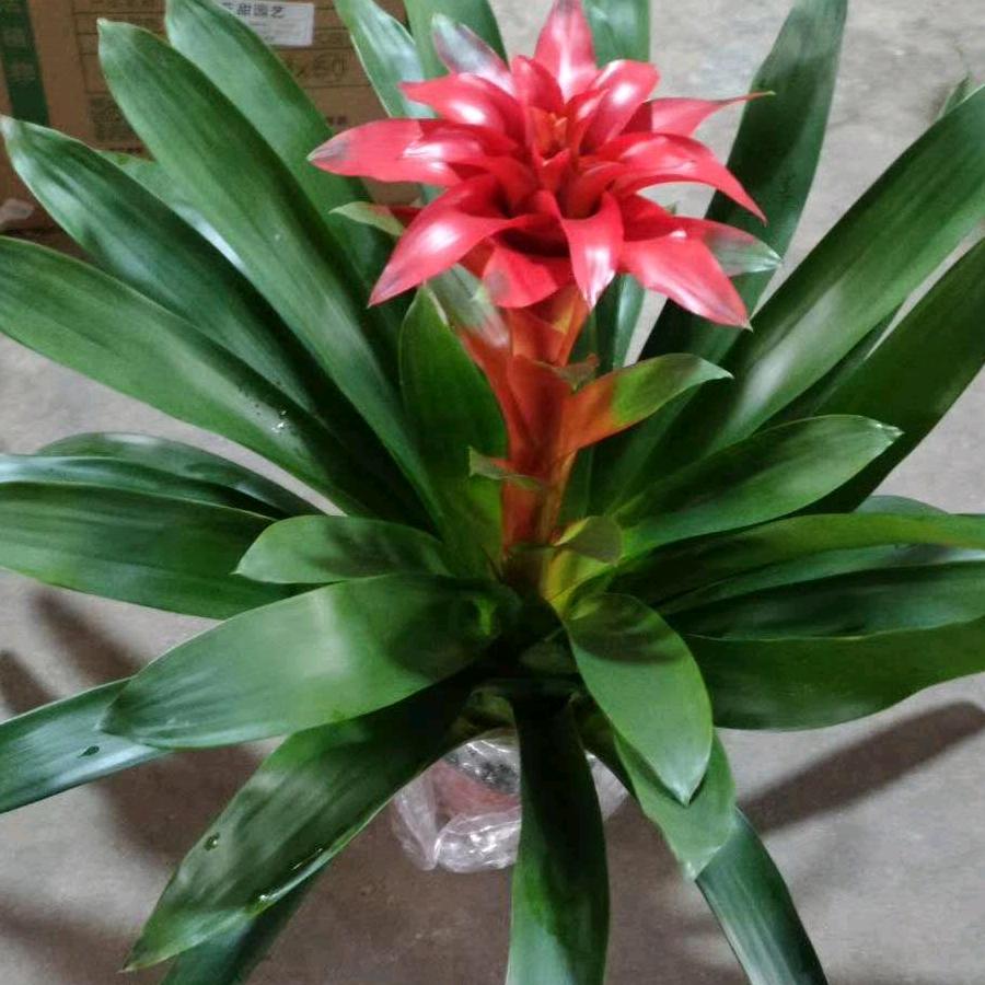 （李彦墨）大千世界