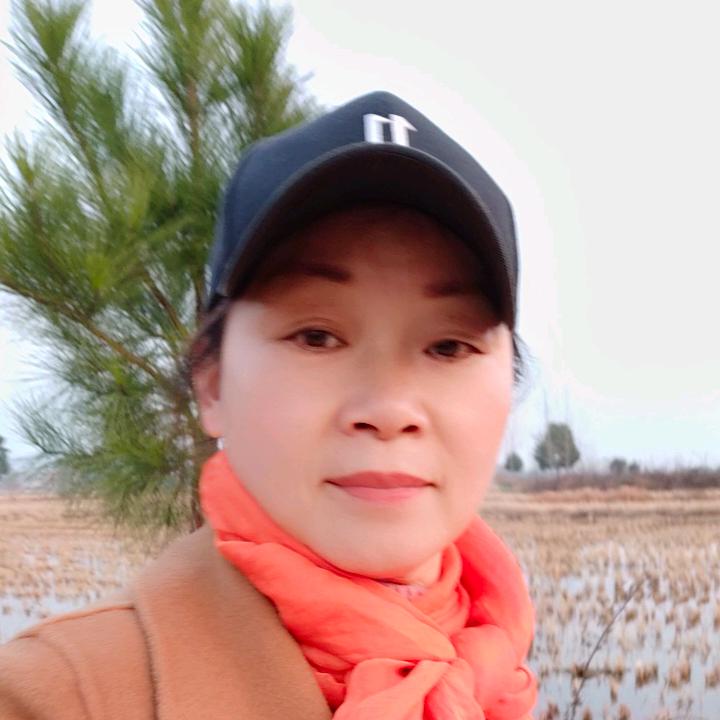 晚菊傲霜