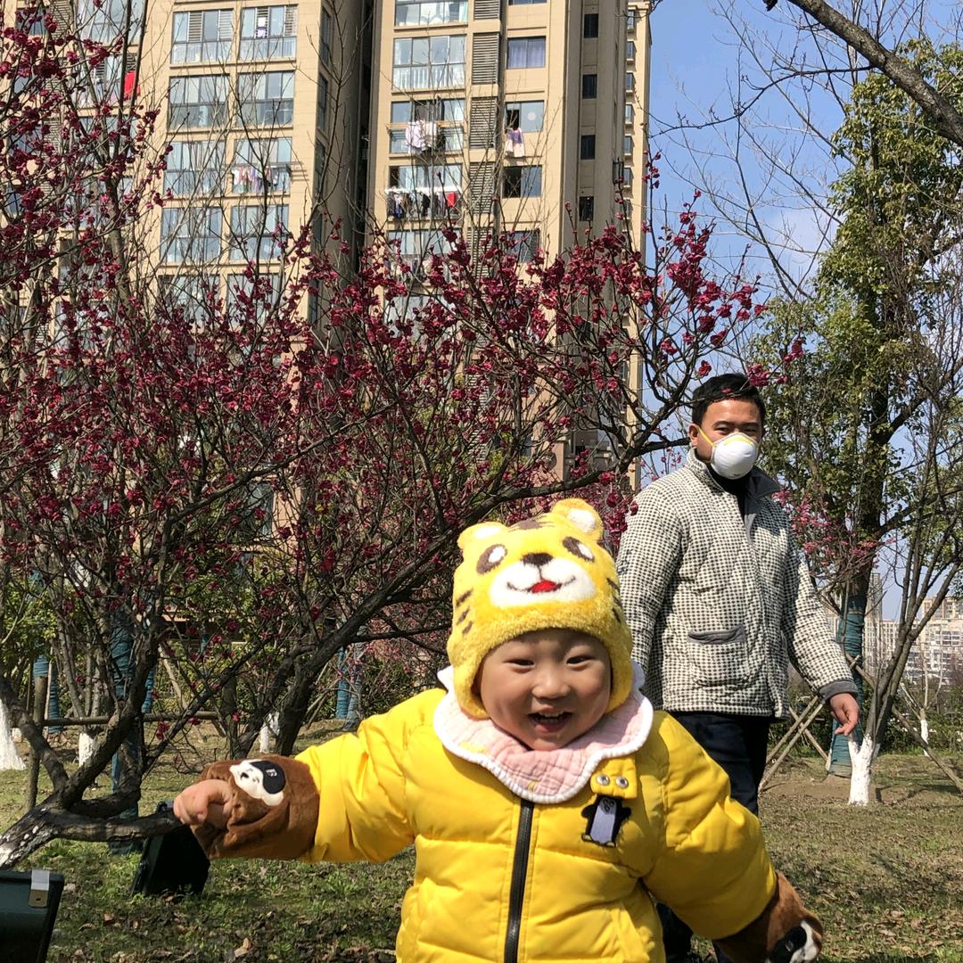 坦坦荡荡一世一生