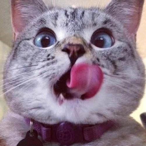 烟灰Ge°