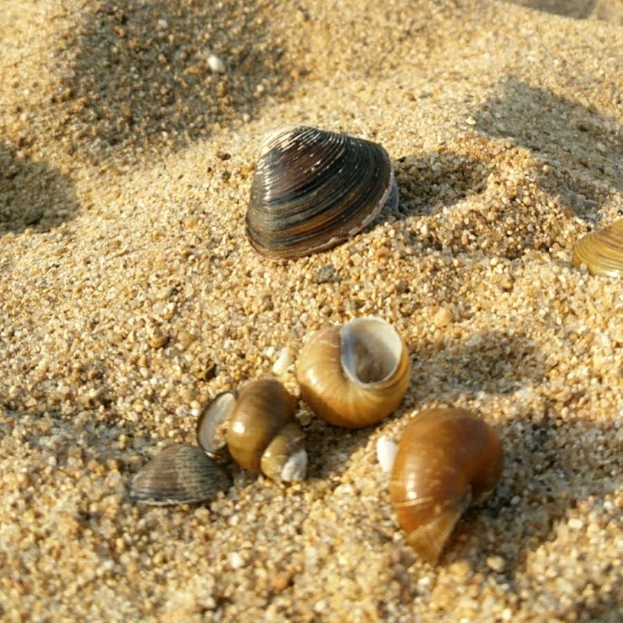 涌泉
