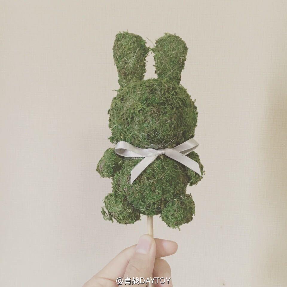 吃萝卜的野兔子呀呀呀