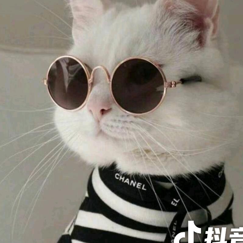 人生如梦