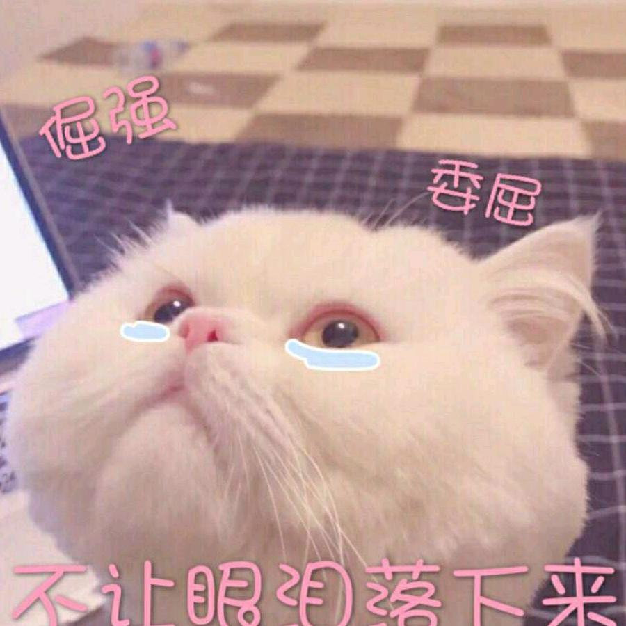 小唐僧