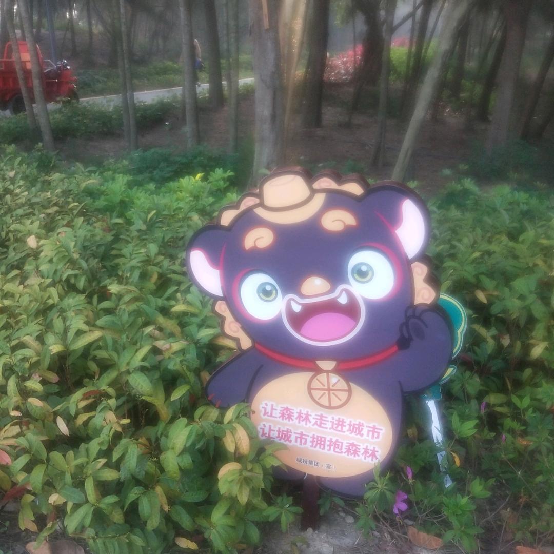 小草儿