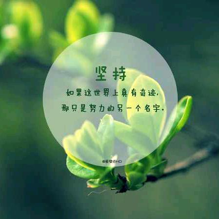 顺其自然