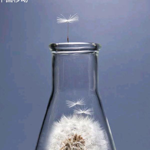 从未走   谈何等