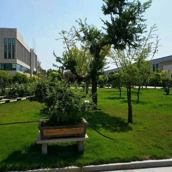 爱拼才会赢（拒绝连赞）