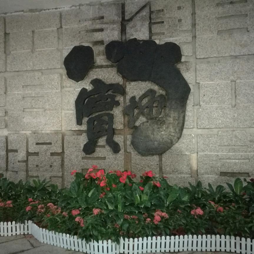 小小做题家