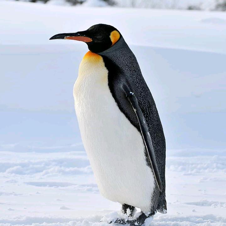 同是天涯沦落人