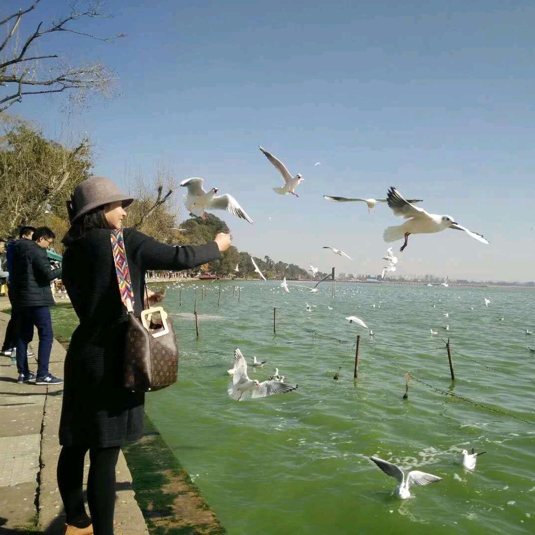 顺其自然