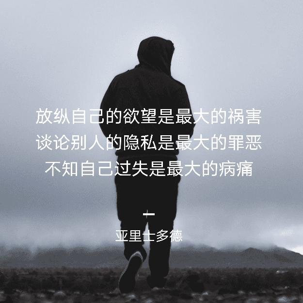 无畏骑士