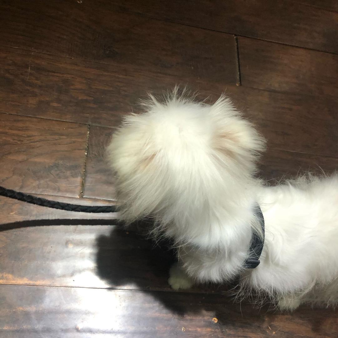 邢开心🥳