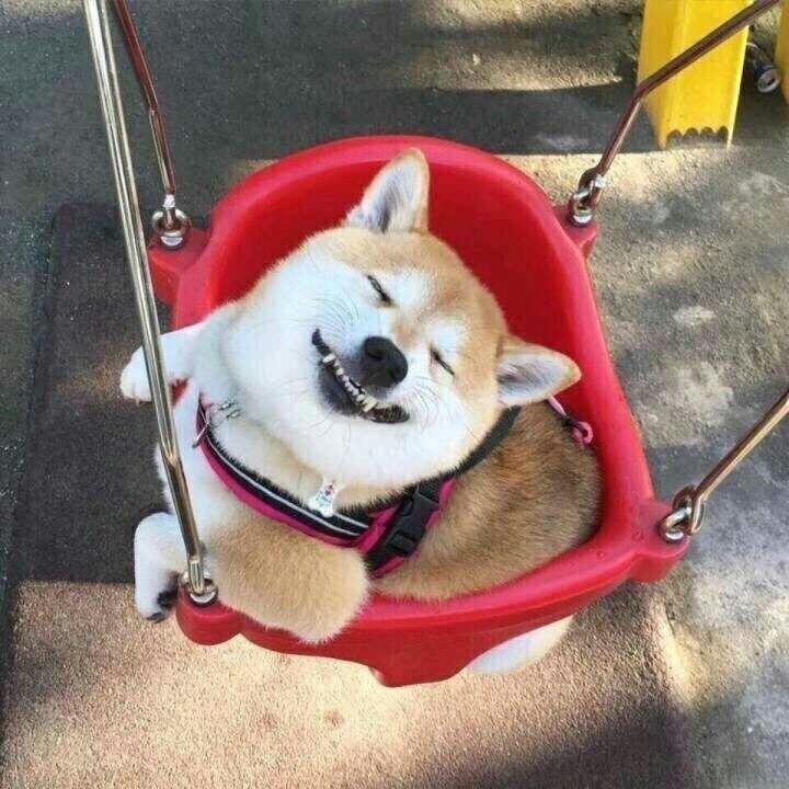 闲人。（游戏代肝版）