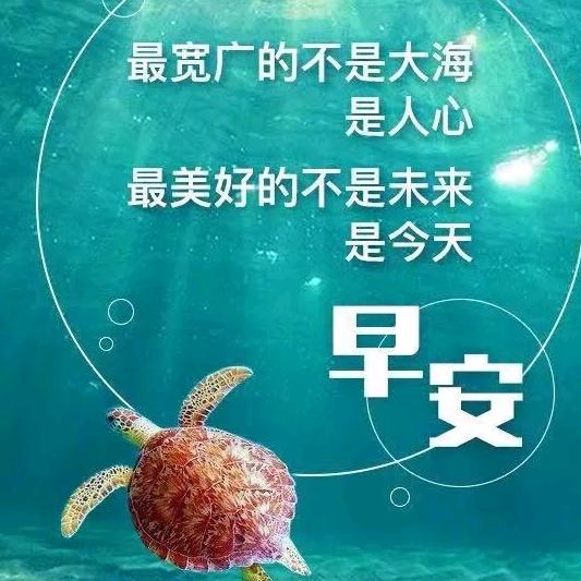 五姐