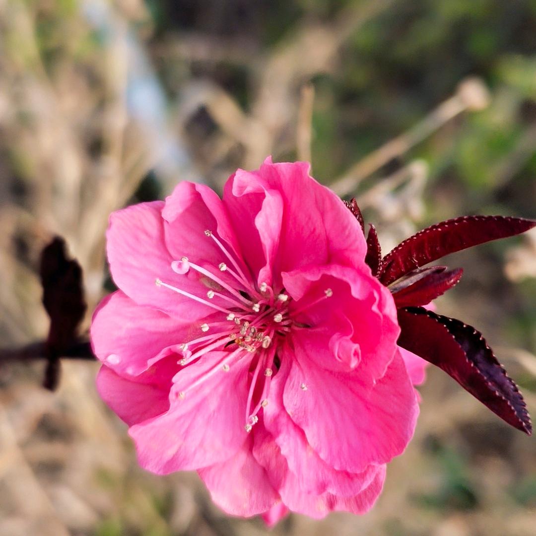 向前走，不回头