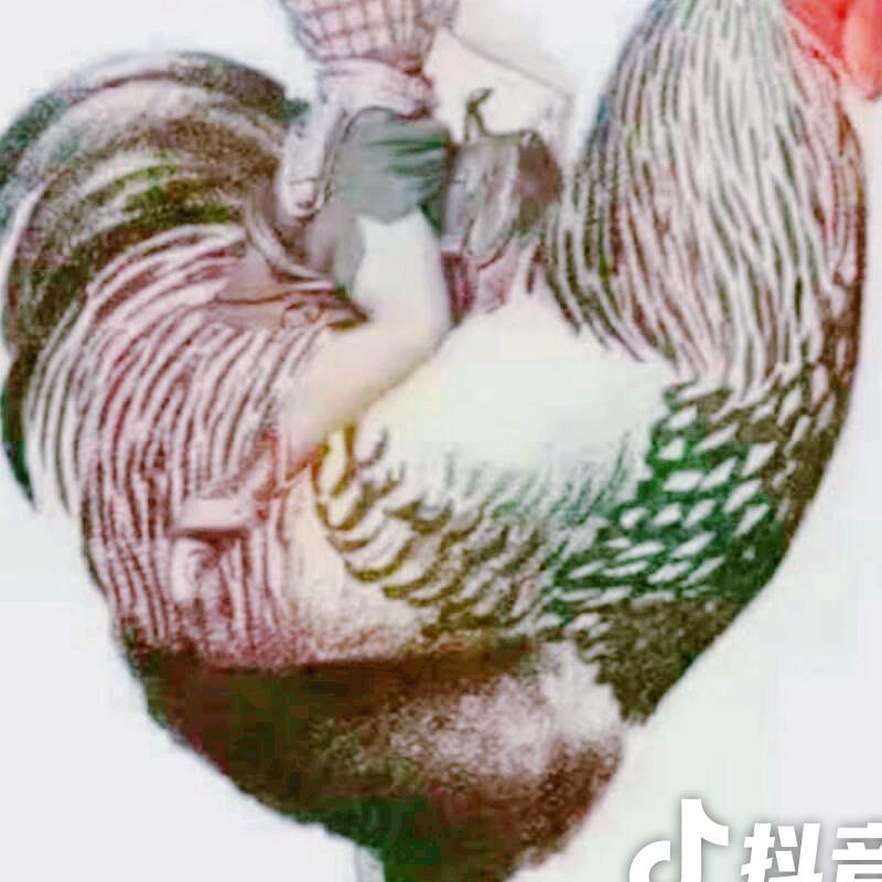 柠檬之都