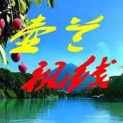 壶兰视线