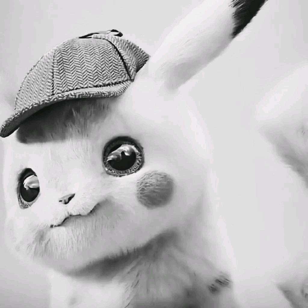 努力发电的小皮卡