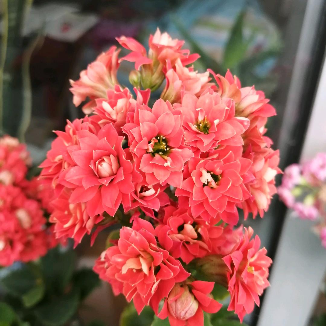 華，18963332986