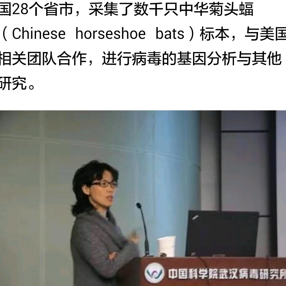 独山石～纪录我的见闻