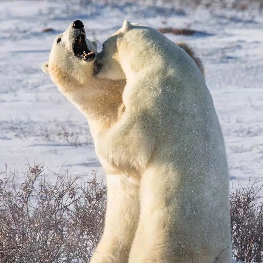长垣         小李🥰😇🥰