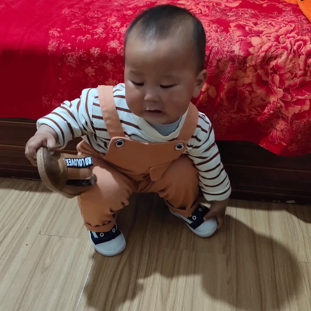 刘娟