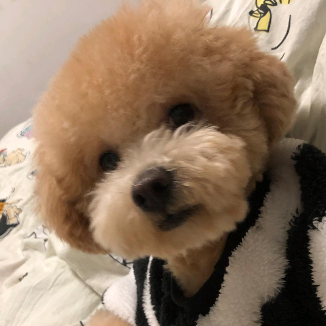 时光不老