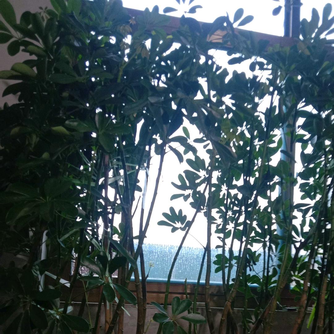 爱心❤️
