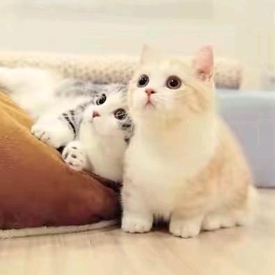 纸落云烟