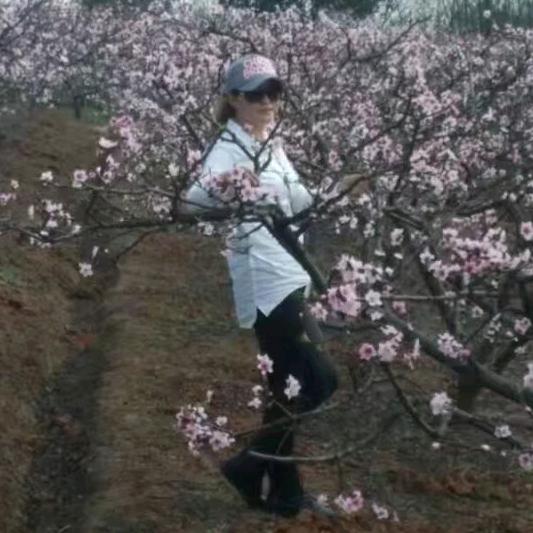 寒冷的雨