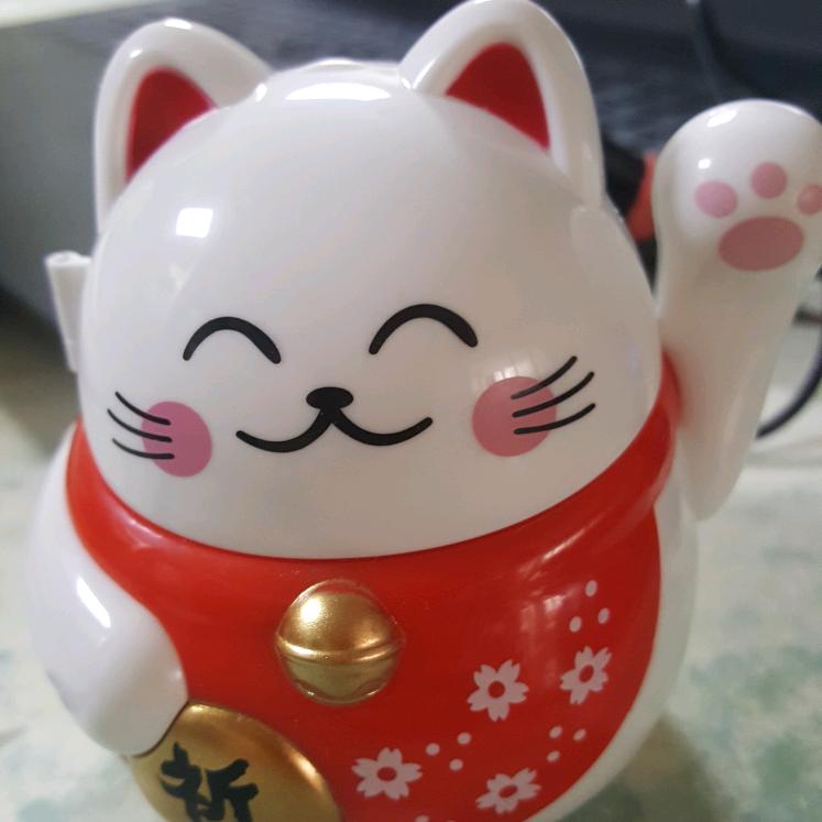 杨可可