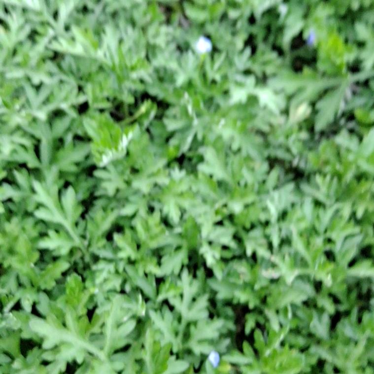 @一抹阳光