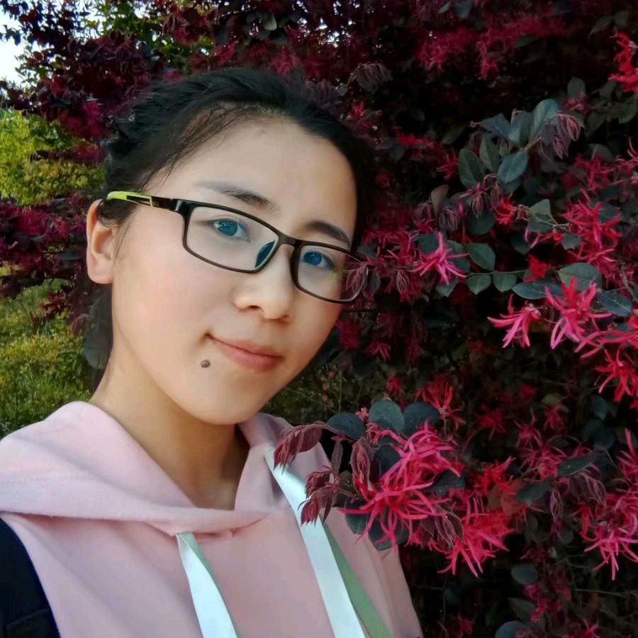 小灰灰
