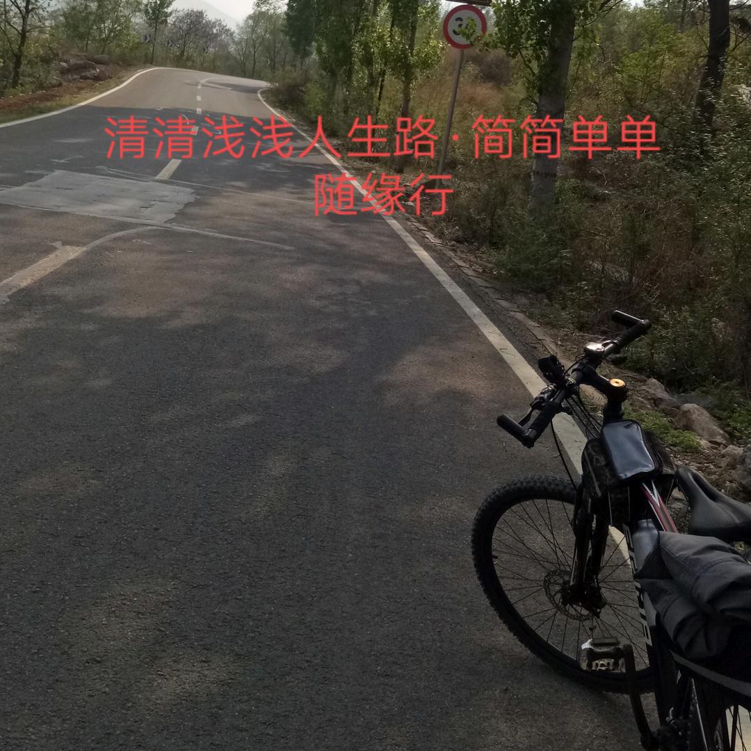 Zhangyong张勇