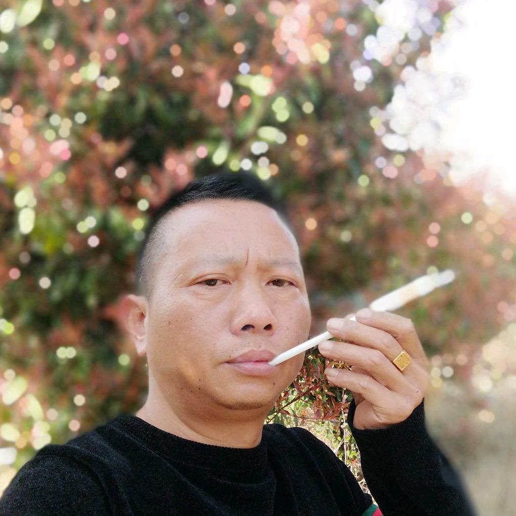 逍遥龍