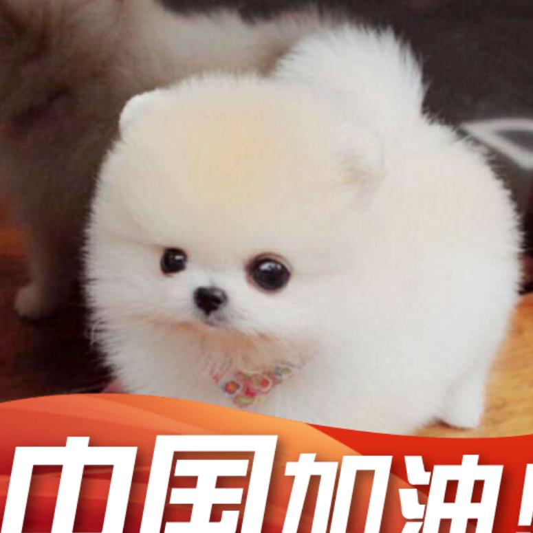 江里的鱼