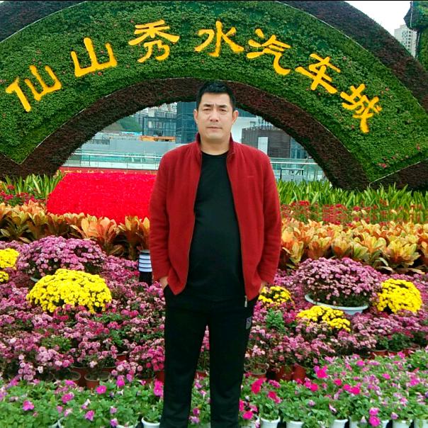 完美人生