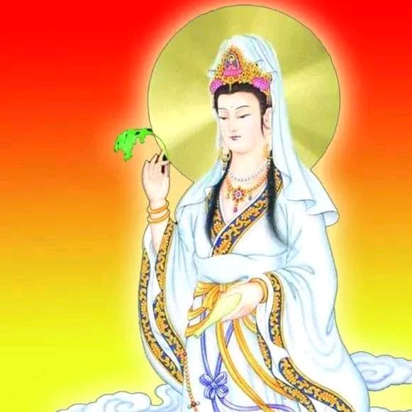 金哥爱正义赏佛缘十音乐