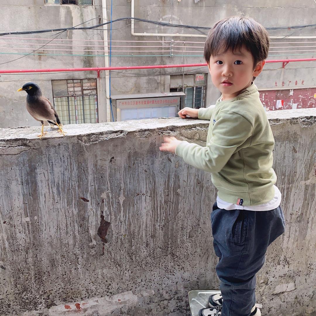 捣蛋鬼