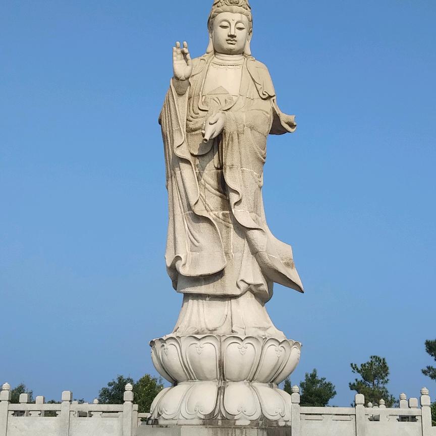 梅花雨