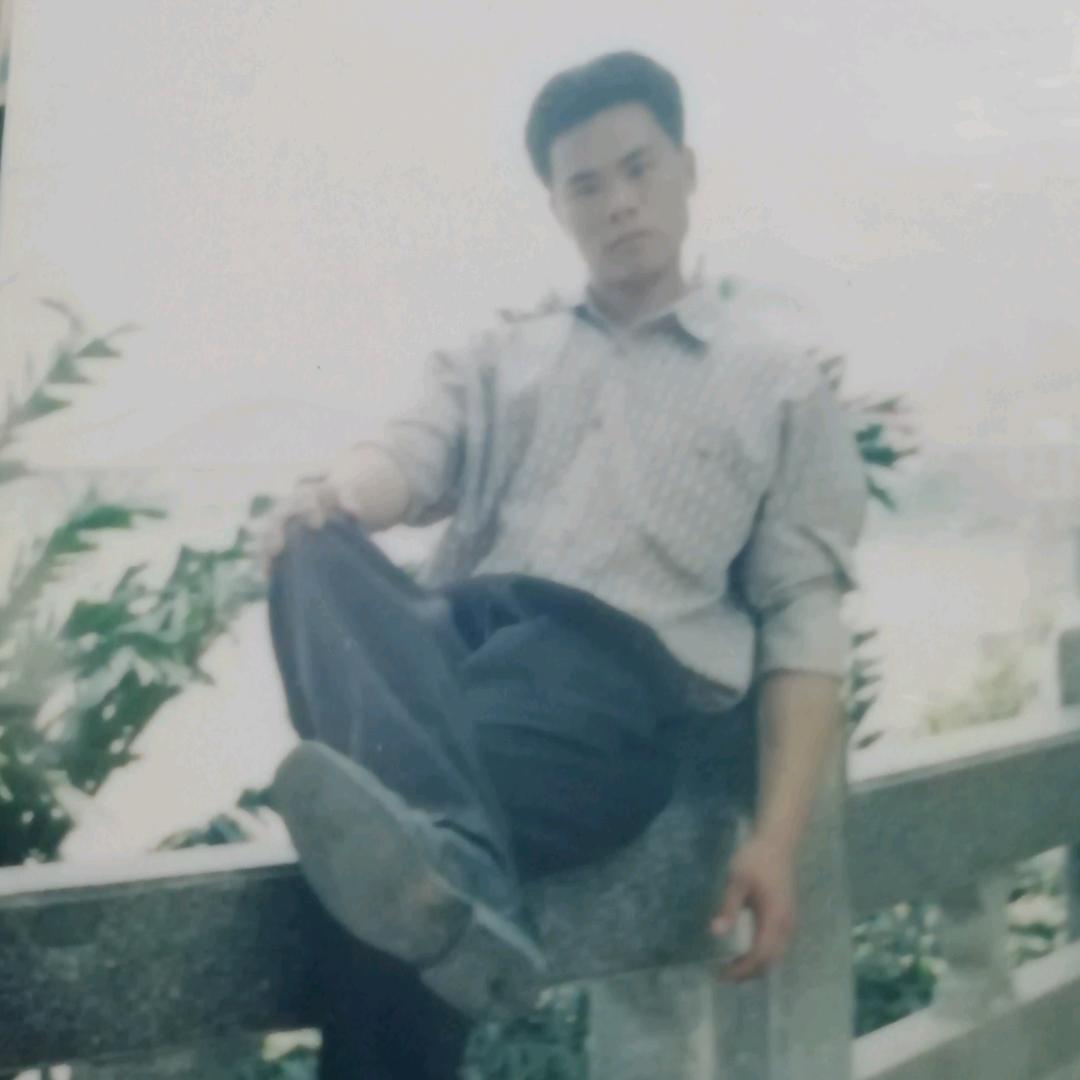 斌哥走地散养鸡