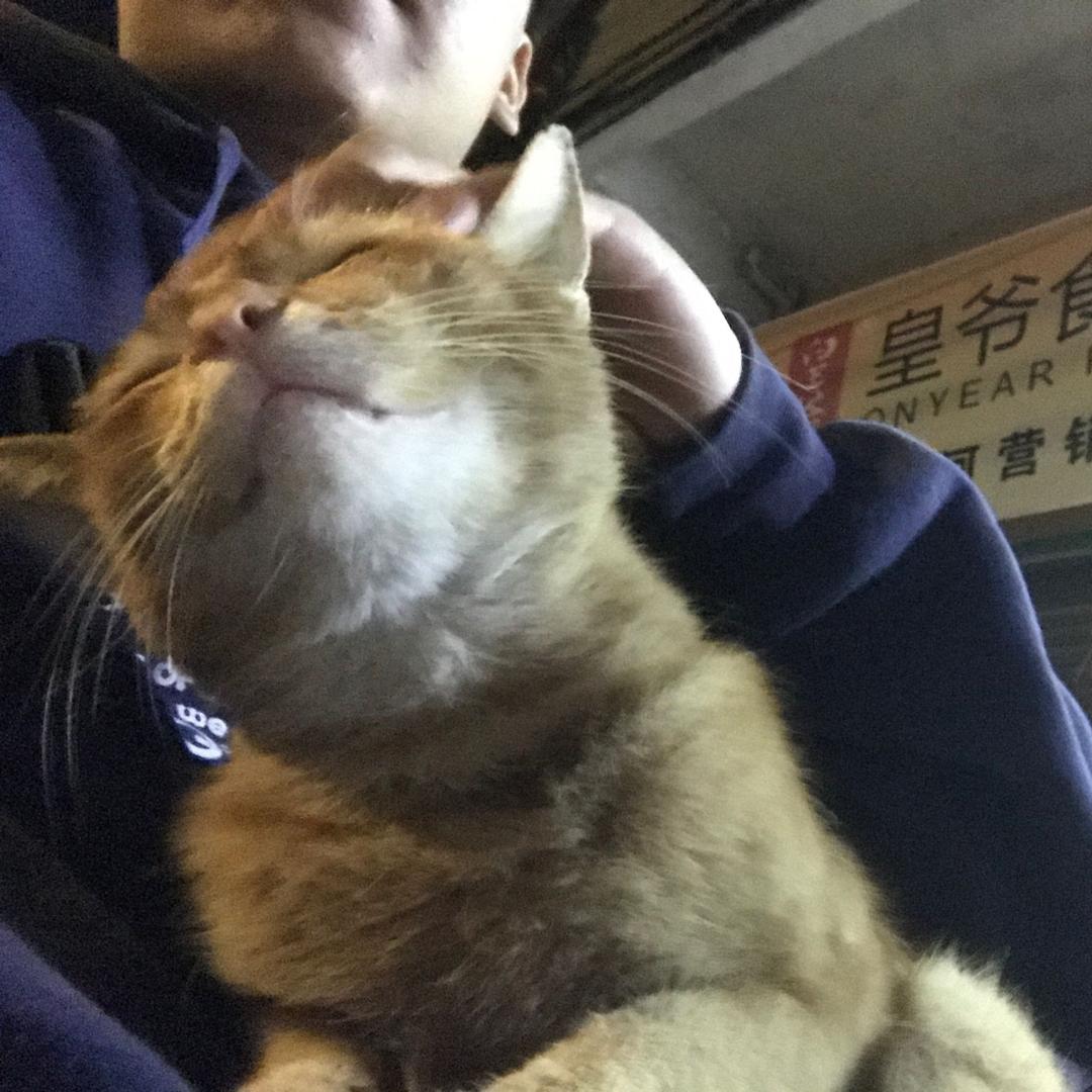 大吉发