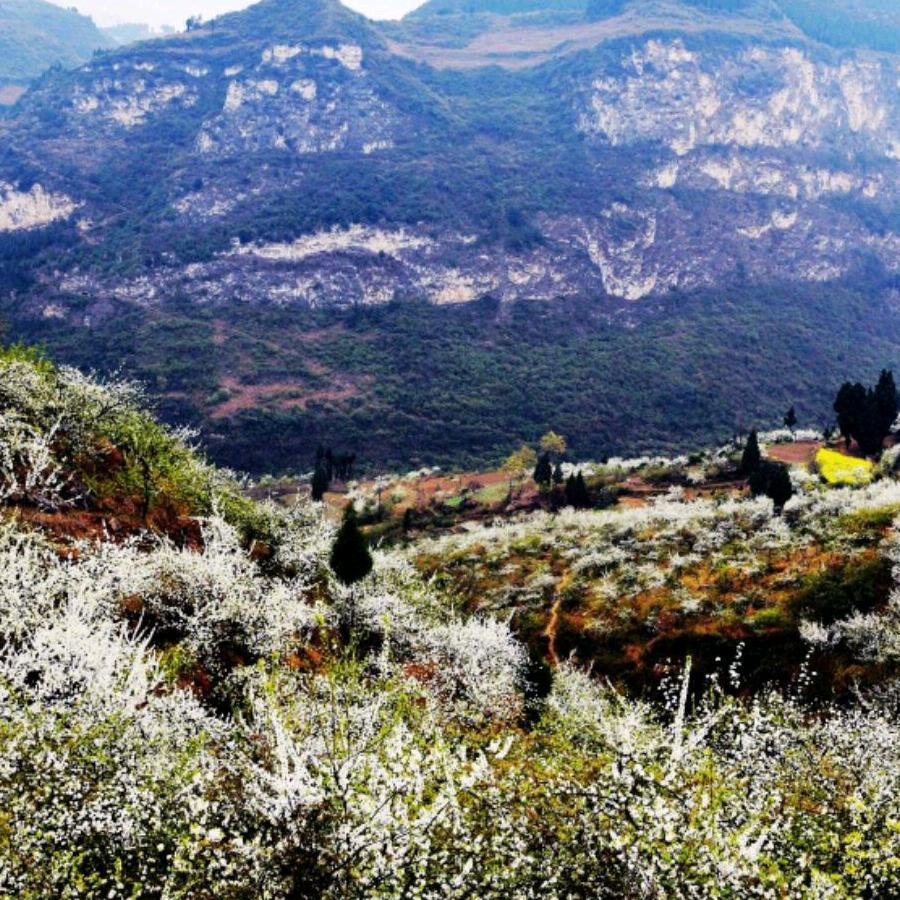 阿山的诗和远方