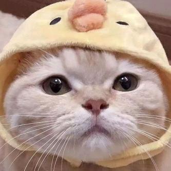 骑着蜗牛赶飞机😁