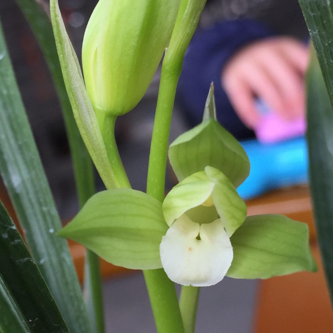 陈陈恳恳