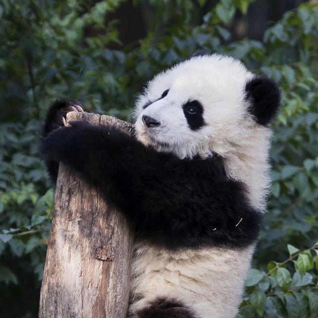 一缕阳光丿